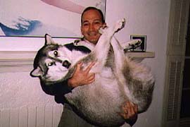 Dog Being Lifted
